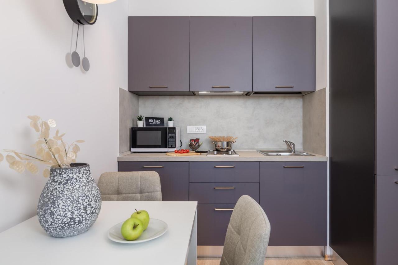 Apartments Penkala 2 غييكا المظهر الخارجي الصورة