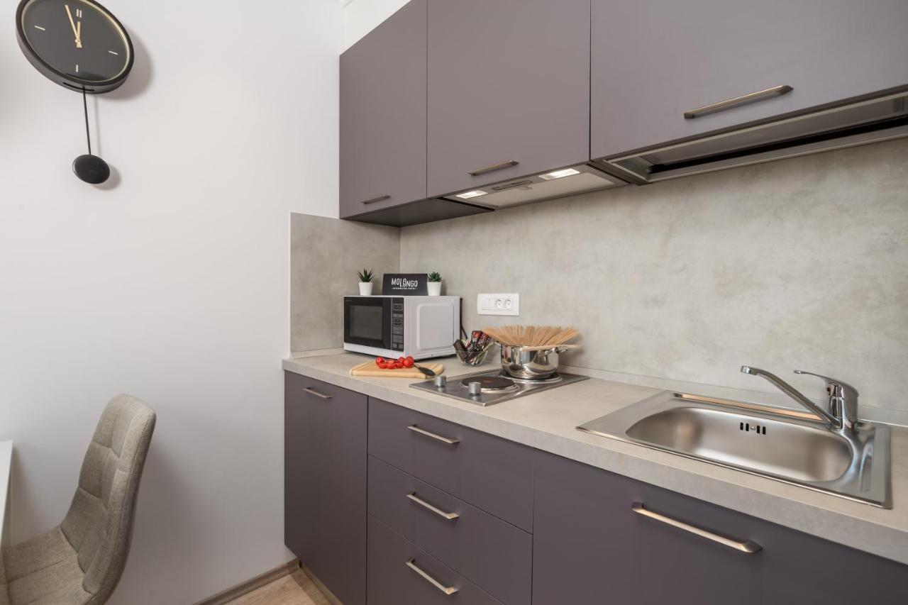 Apartments Penkala 2 غييكا المظهر الخارجي الصورة
